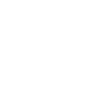 BandSports